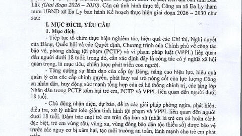 KH phong chong toi pham xam hai tre em va phong chong toi pham vi pham phap luat